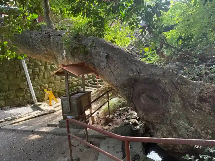 志波彦神社・鹽竈神社(宮城県)