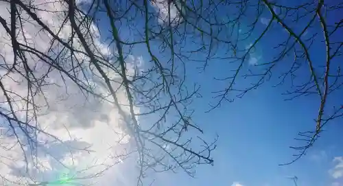 神明社（国府宮神明社）の景色