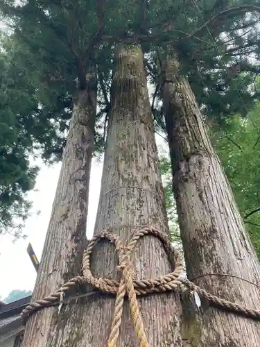 奥氷川神社(東京都)