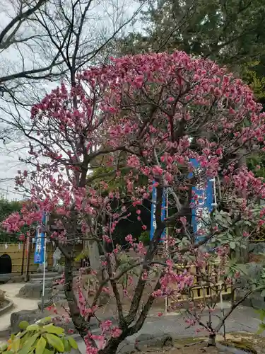 中野沼袋氷川神社(東京都)