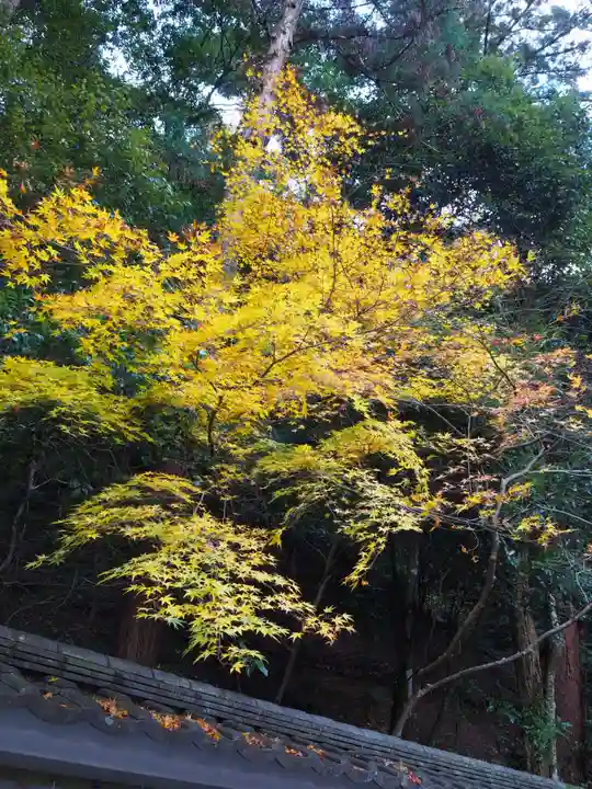 清荒神清澄寺の自然