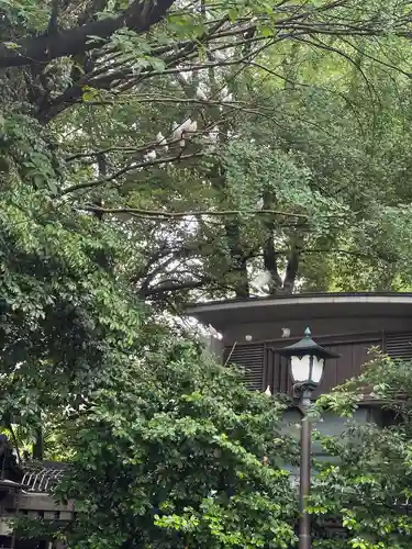 靖國神社(東京都)