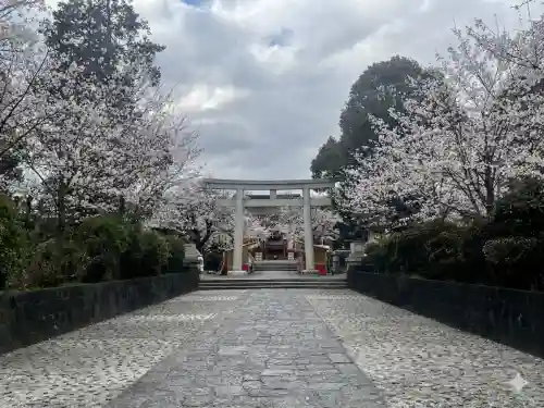 富士山本宮浅間大社の{uncategorized: "未分類", other: "その他", undefined: "問題あり", building: "その他建物", grave: "お墓", sacred_gate: "鳥居", guardian: "狛犬", statue: "像", buddha: "仏像", history: "歴史", nature: "自然", garden: "庭園", animal: "動物", pagoda: "塔", temizu: "手水舎", mountain_gate: "山門・神門", sanctuary: "本殿・本堂", subordinate: "末社・摂社", art: "芸術", scenery: "景色", jizo: "地蔵", ema: "絵馬", goshuin: "御朱印", omikuji: "おみくじ", items: "授与品その他", amulet: "お守り", goshuincho: "御朱印帳", eats: "食事", festival: "お祭り", votive_dance: "神楽", shichigosan: "七五三参", wedding: "結婚式", experience: "体験その他", initially: "初詣", around: "周辺", anti_infection: "感染症対策"}