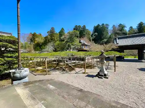 本誓寺(東本誓寺)(滋賀県)