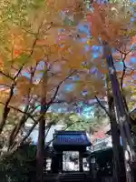 吸湖山 青岸寺の山門・神門