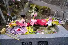 陽林寺の手水