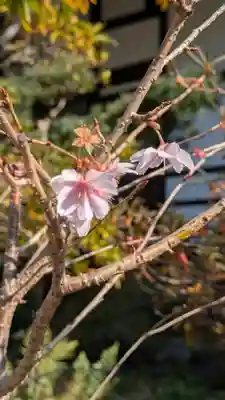 浄國寺(浄国寺)(大阪府)