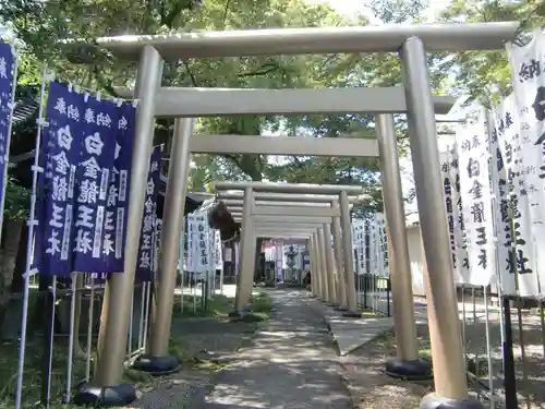 白金龍王社(愛知県)