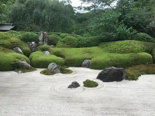 明月院の庭園