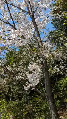 法金剛院(京都府)