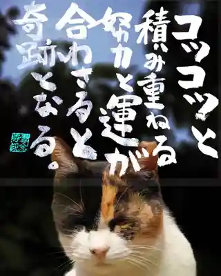 専念寺(大阪府)