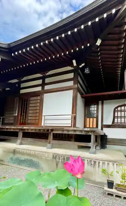 塩船観音寺の自然