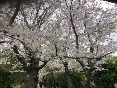 極楽寺（霊鷲山感應院極楽律寺）の自然