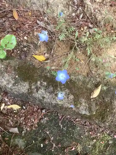 玉野御嶽神社の庭園