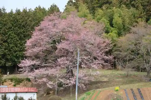 長屋神社の周辺