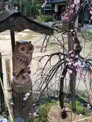 天満神社(福井県)