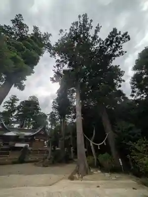 山倉大神(千葉県)