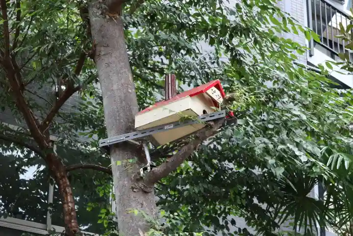 高円寺氷川神社(東京都)
