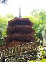 安楽寺の建物その他