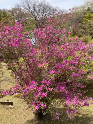 箱根神社(神奈川県)