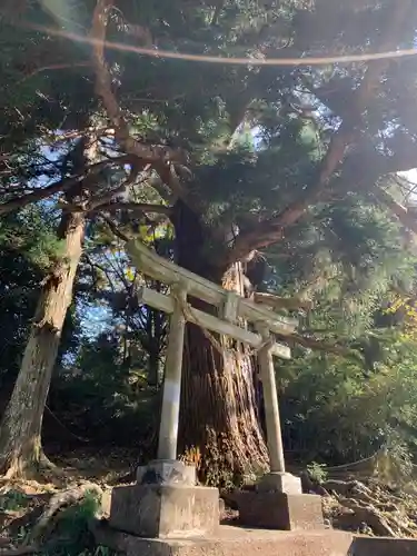 妙見神社の鳥居