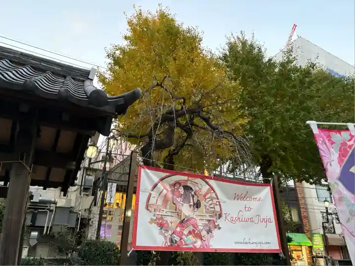 柏神社(千葉県)
