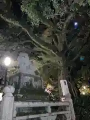 八坂神社(祇園さん)の狛犬