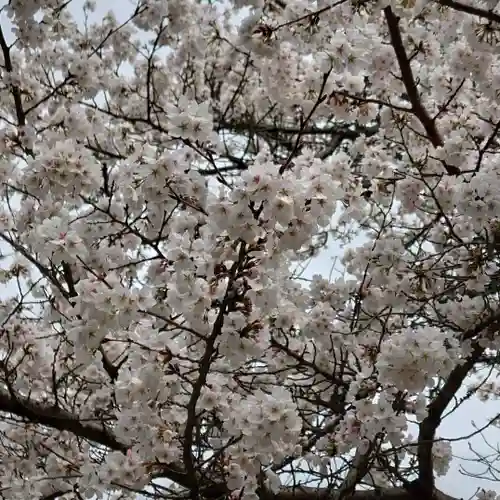 二兒神社(福岡県)