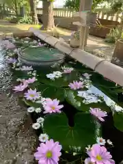 犀川神社の手水