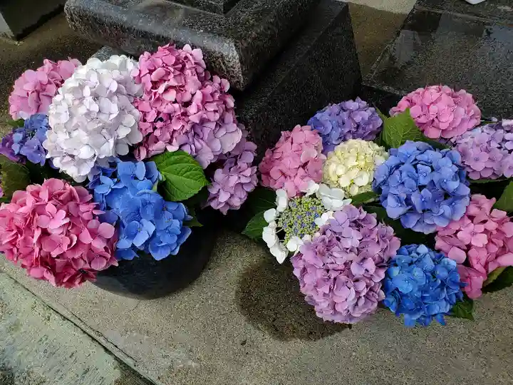 豊景神社のその他建物