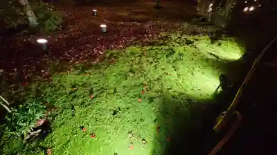 宝厳院(京都府)