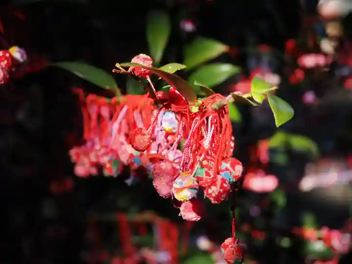 赤坂氷川神社(東京都)