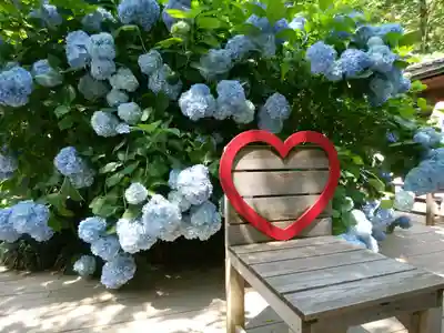 明月院(神奈川県)