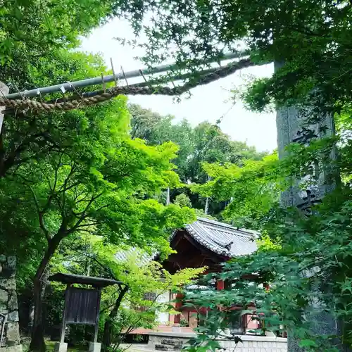 安岡寺(大阪府)