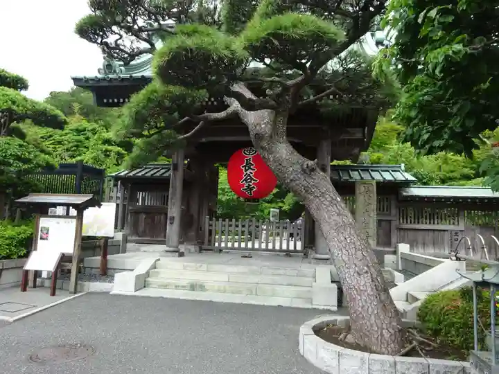 長谷寺(神奈川県)