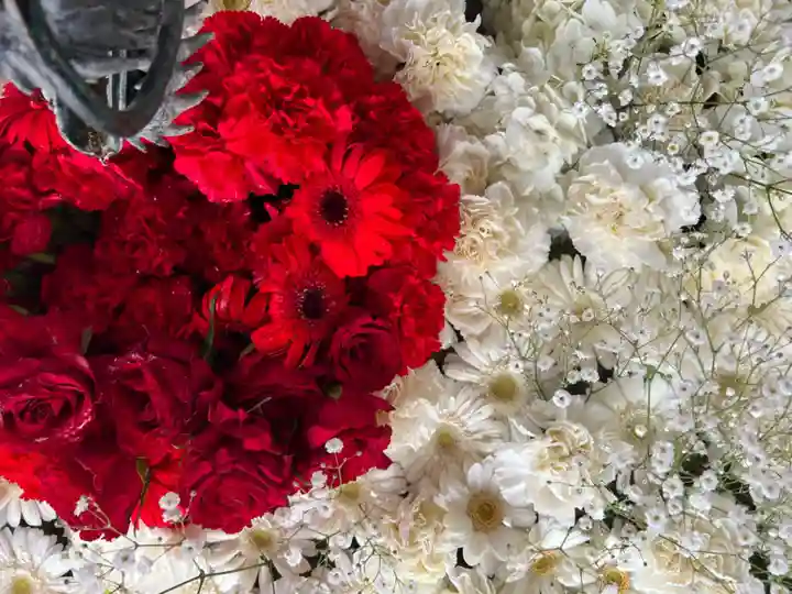 札幌諏訪神社の手水舎