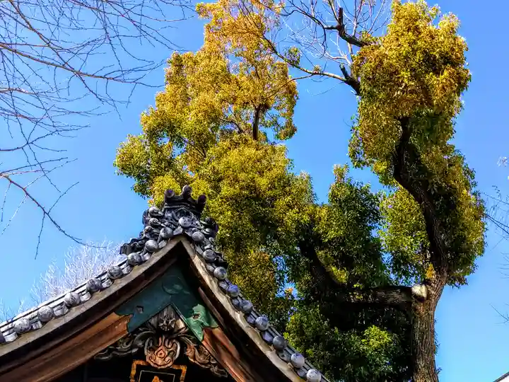 白山社(児玉白山社)の自然