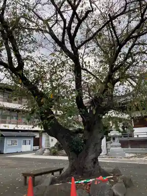 妙善寺(神奈川県)