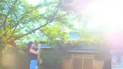 植田八幡宮のその他建物