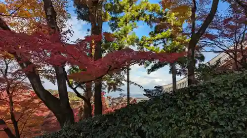 禅林寺（永観堂）(京都府)