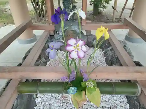 和泉國一之宮　大鳥大社(大阪府)