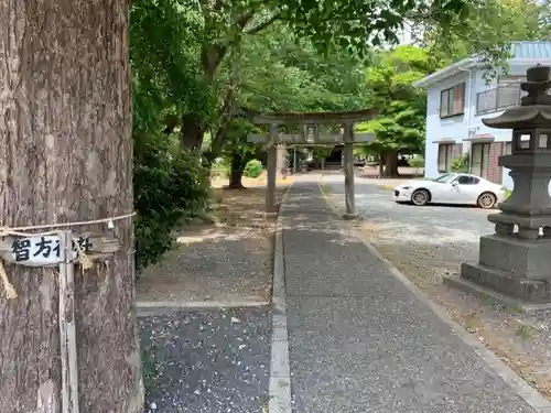 智方神社の鳥居