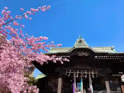 桜神宮の本殿・本堂