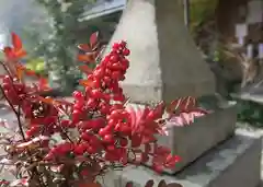 交野天神社の自然