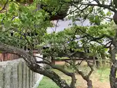 曽根天満宮の建物その他