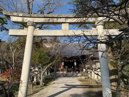 長浜八幡宮の鳥居