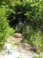 真光寺(福岡県)