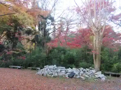清水寺(京都府)