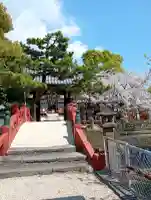 牛嶋天満宮の{uncategorized: "未分類", other: "その他", undefined: "問題あり", building: "その他建物", grave: "お墓", sacred_gate: "鳥居", guardian: "狛犬", statue: "像", buddha: "仏像", history: "歴史", nature: "自然", garden: "庭園", animal: "動物", pagoda: "塔", temizu: "手水舎", mountain_gate: "山門・神門", sanctuary: "本殿・本堂", subordinate: "末社・摂社", art: "芸術", scenery: "景色", jizo: "地蔵", ema: "絵馬", goshuin: "御朱印", omikuji: "おみくじ", items: "授与品その他", amulet: "お守り", goshuincho: "御朱印帳", eats: "食事", festival: "お祭り", votive_dance: "神楽", shichigosan: "七五三参", wedding: "結婚式", experience: "体験その他", initially: "初詣", around: "周辺", anti_infection: "感染症対策"}