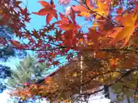 妙法寺(福井県)